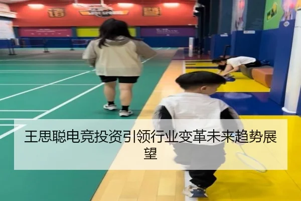 王思聪电竞投资引领行业变革未来趋势展望