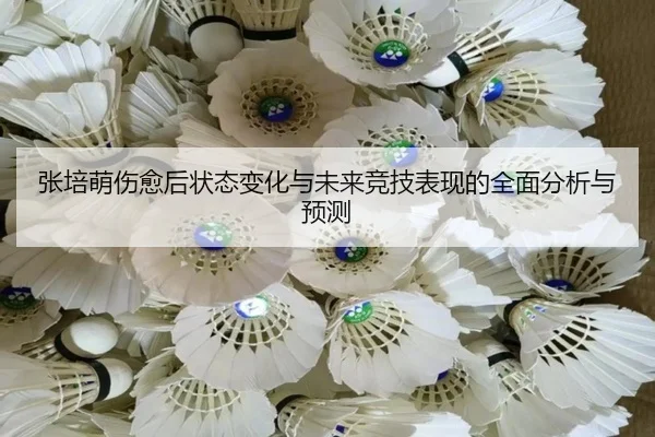 张培萌伤愈后状态变化与未来竞技表现的全面分析与预测